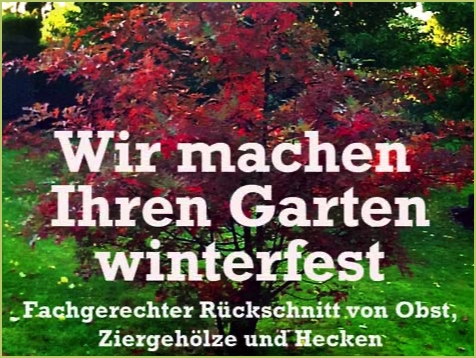 Herbststrauch Hintergrund mit Hinweis zum Rückschnitt von Baum und Hecke