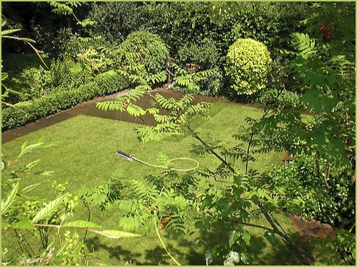 ein gepflegter Garten vom Fachmann