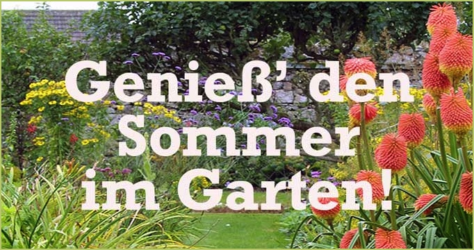 blühender Garten mit Staudenbeet